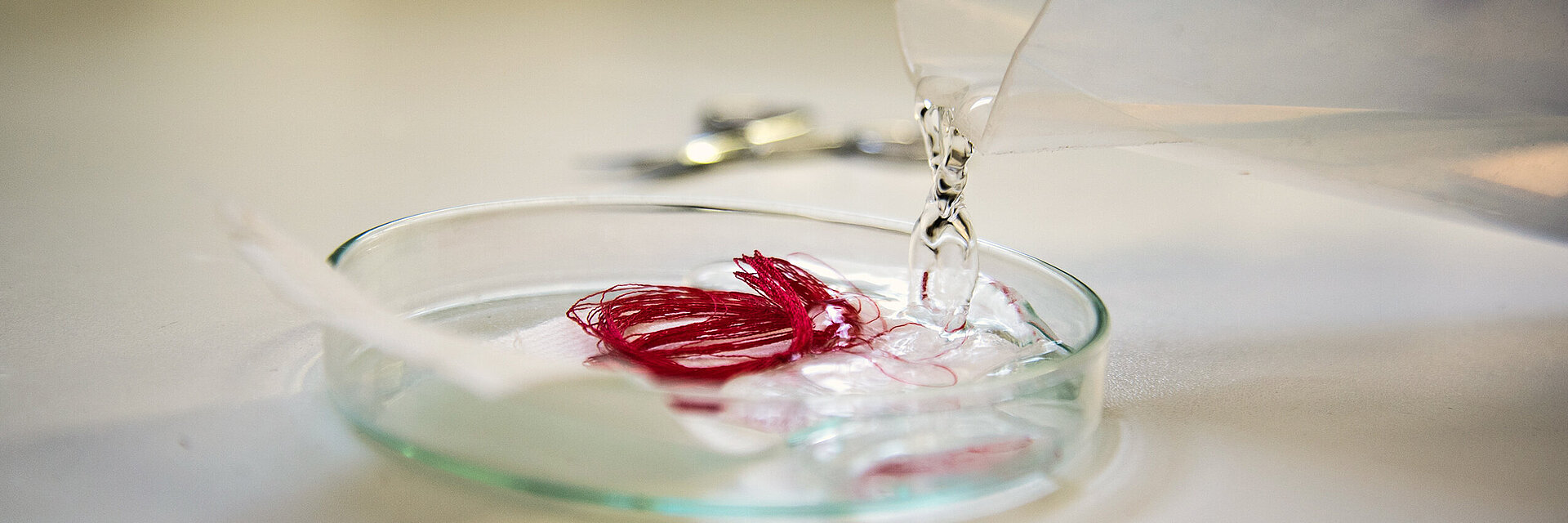 [Translate to Englisch IND:] embroidery thread quality test with red thread in a lab dish