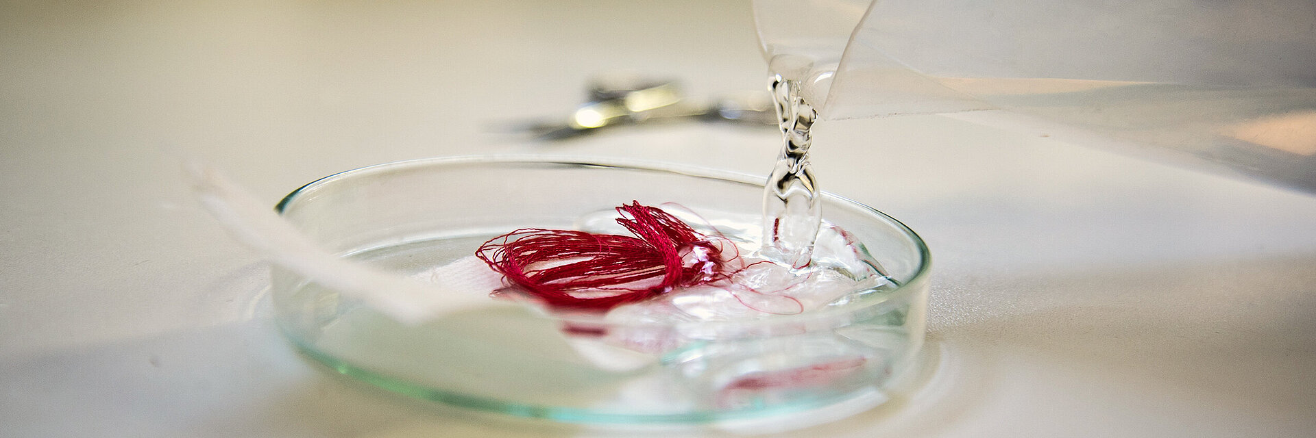 [Translate to Global Deutsch:] embroidery thread quality test with red thread in a lab dish
