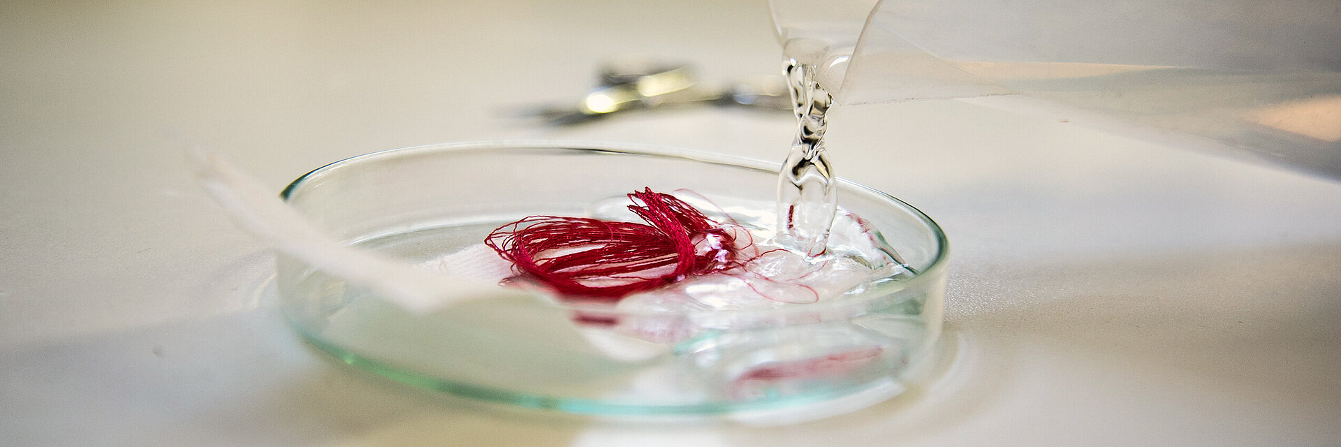 embroidery thread quality test with red thread in a lab dish