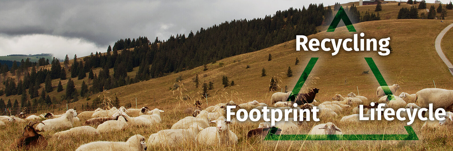 black forest landscape with sheeps and sustainability triangle