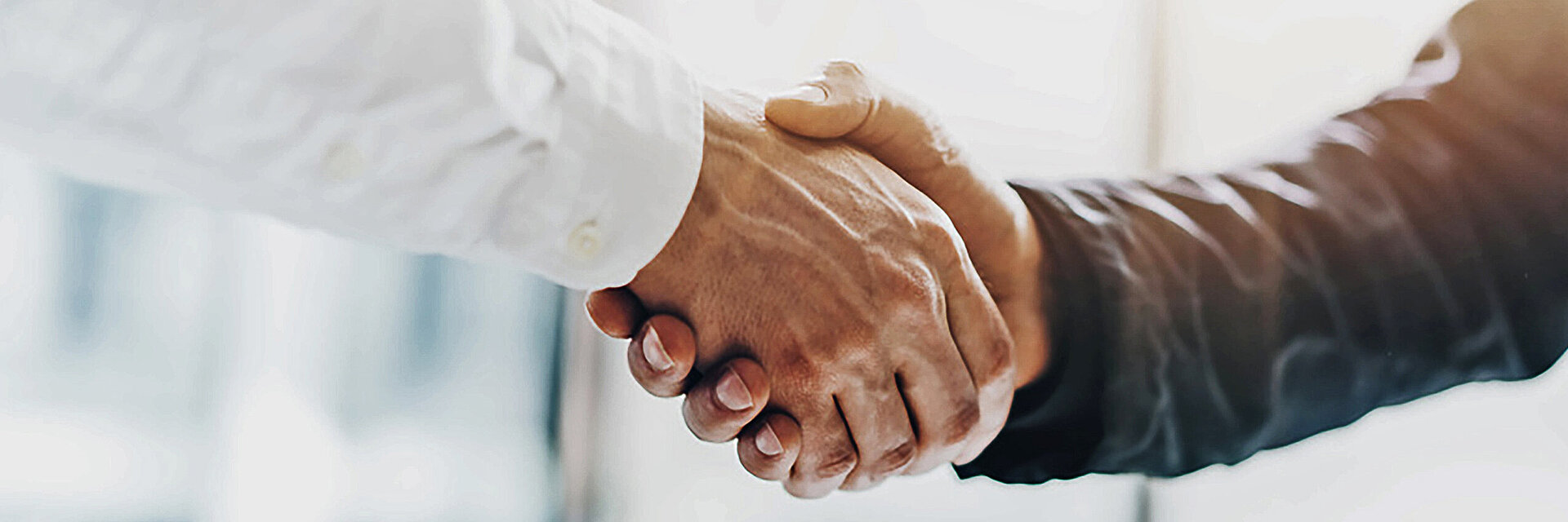 [Translate to Global Portugiesisch:] two hands in handshake