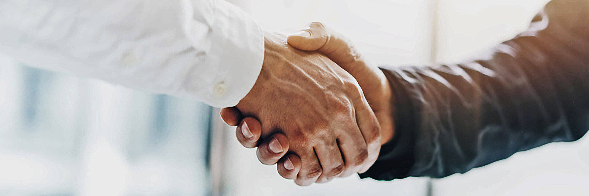 two hands in handshake