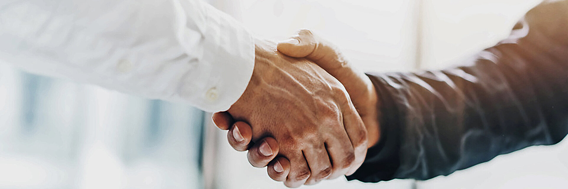 [Translate to Türkisch:] two hands in handshake