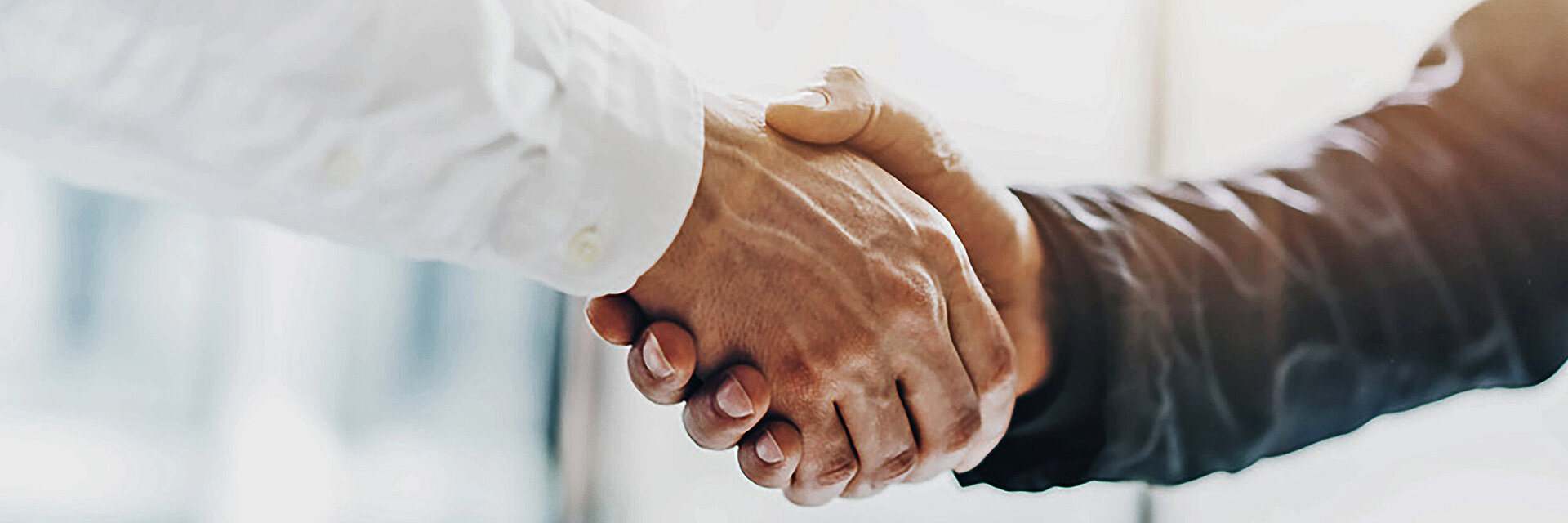 [Translate to Italienisch:] two hands in handshake