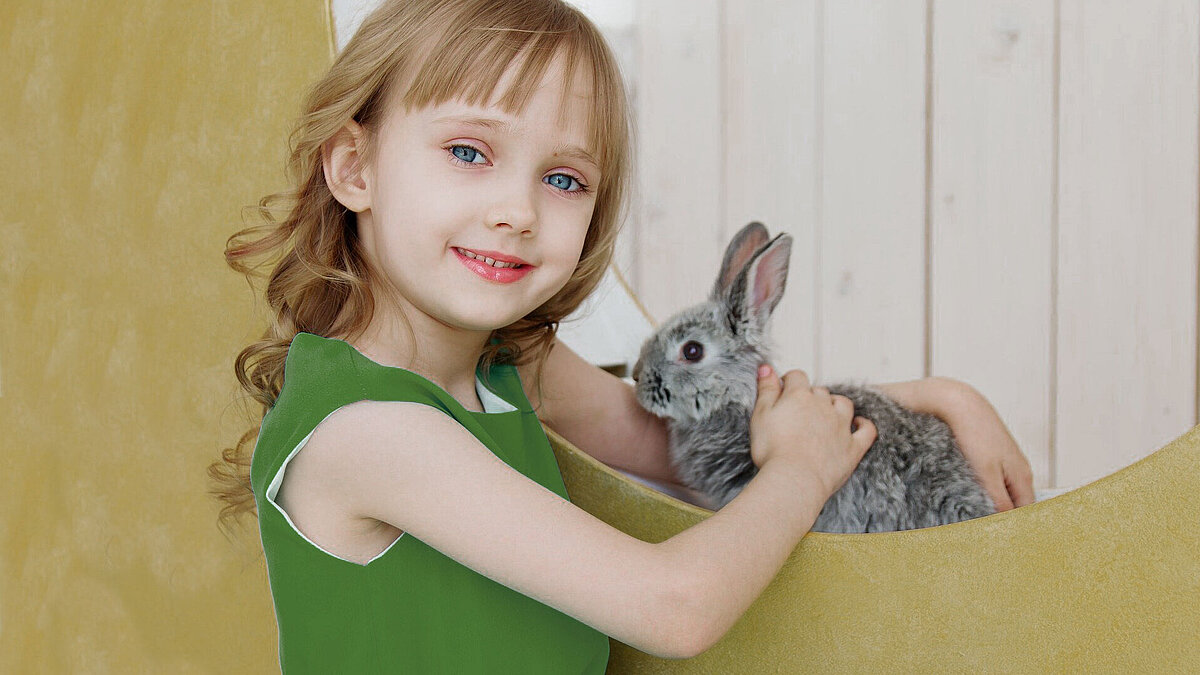 Child touching softly a rabbit